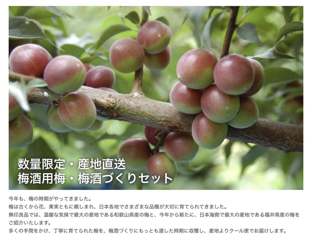 初心者でも意外と簡単 初めての梅酒づくり カフェライフマガジン